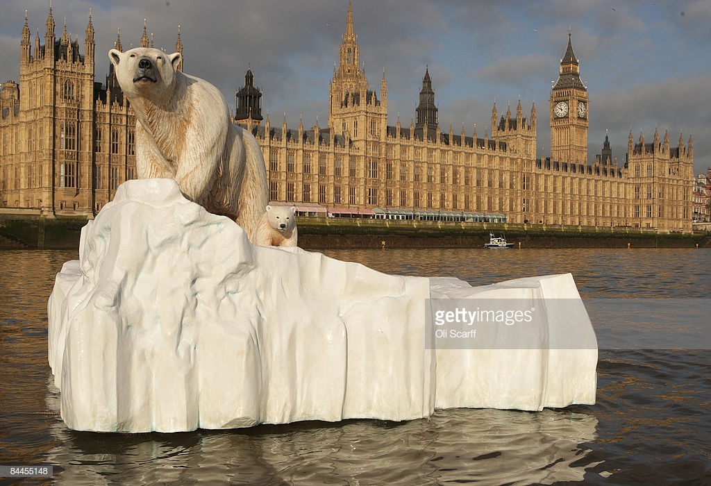 Polar bear floating down the Thames
